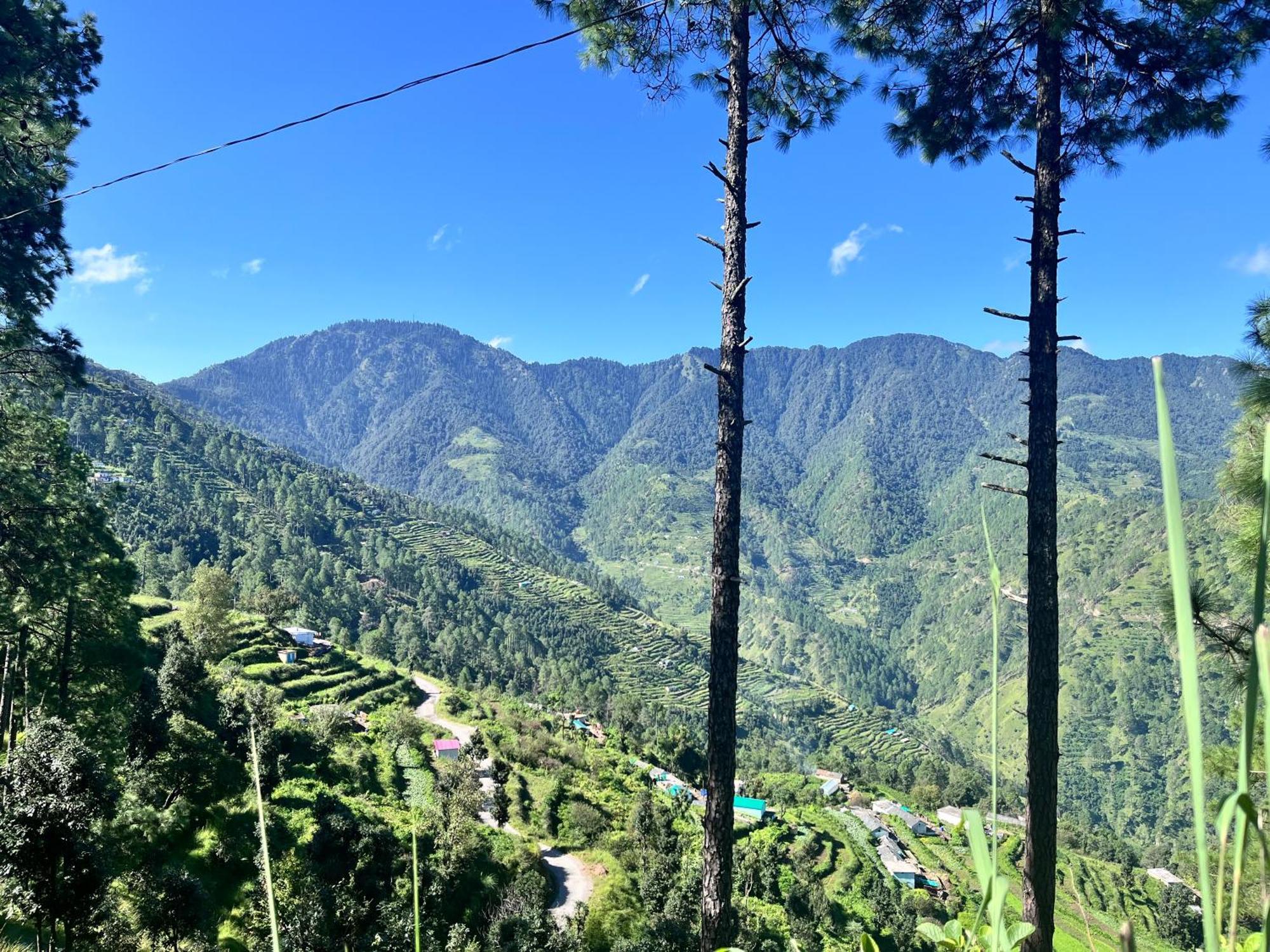 Himalayan Hill Top Resort Kanatal Ngoại thất bức ảnh