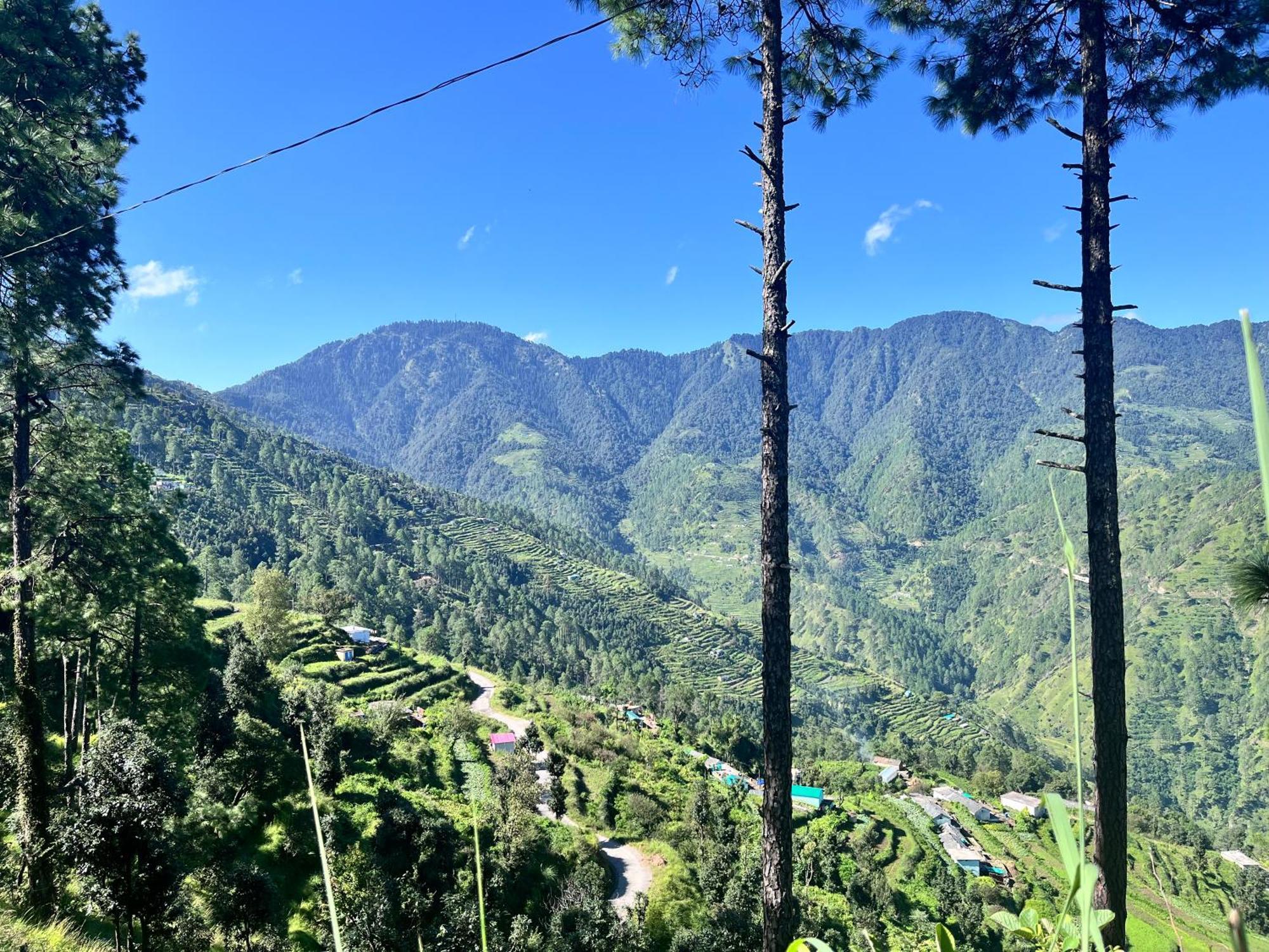 Himalayan Hill Top Resort Kanatal Ngoại thất bức ảnh